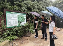 区政协副主席李继刚到玉龙镇开展森林防火工作